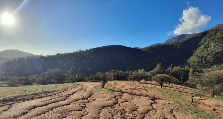 al fondo las montañas y bosque de bellotos