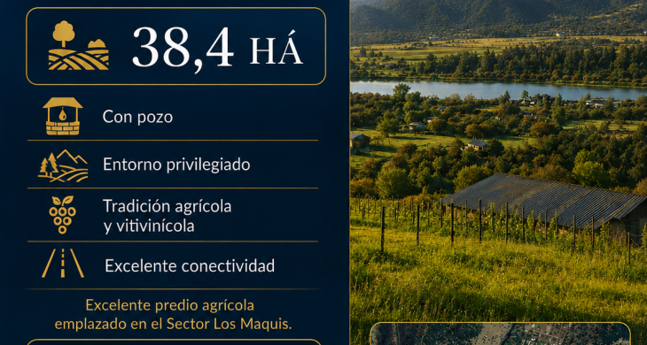 Predio agrícola 38,4 ha a 8 km de Ruta 5 Sur – Malloa