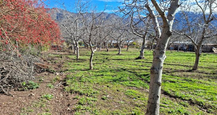 vista al campo