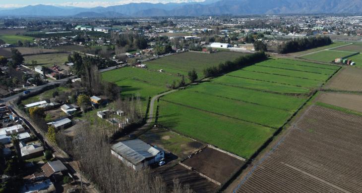 Vista aérea de parcelas agrícolas en Loteo Los Álamos, Rengo