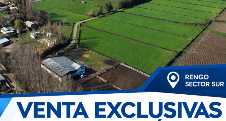 Venta de parcelas agrícolas de 5.000 m² en Rengo, Loteo Los Álamos