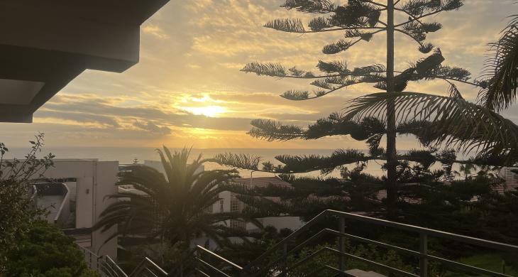 Vistas del edificio 