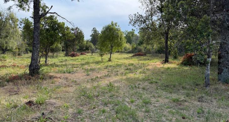 Terreno plano de la parcela