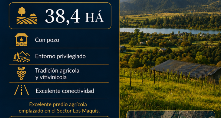 Predio agrícola 38,4 ha a 8 km de Ruta 5 Sur – Malloa