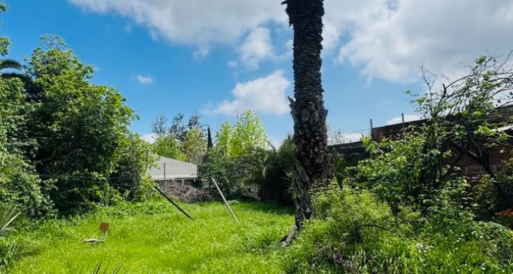 Patio / Terreno
