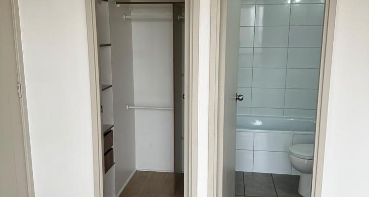 Baño y walk-in closet